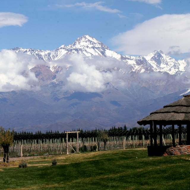 Mendoza Wine Region